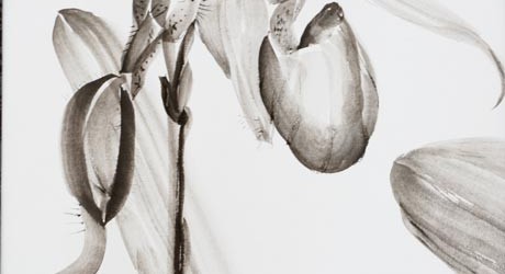 Dixler Orchid I 20 x 16 sumi-e painting by by Patricia Larkin Green